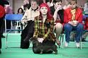 Crufts2011_2 829